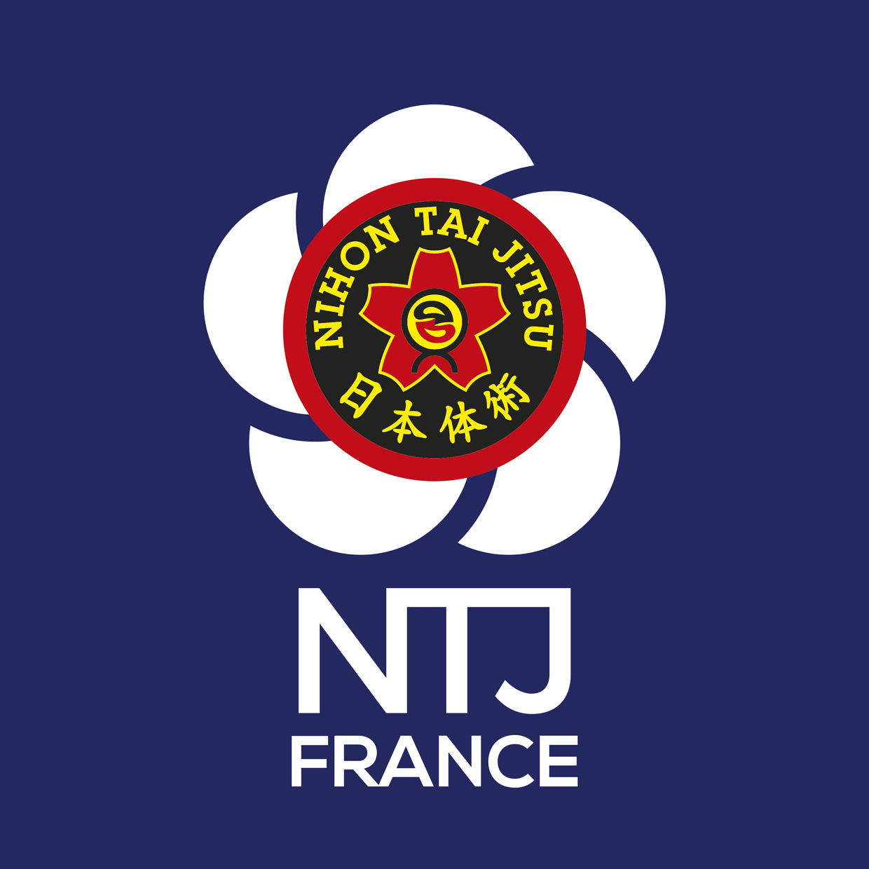 NTJ FRANCE logo rvb