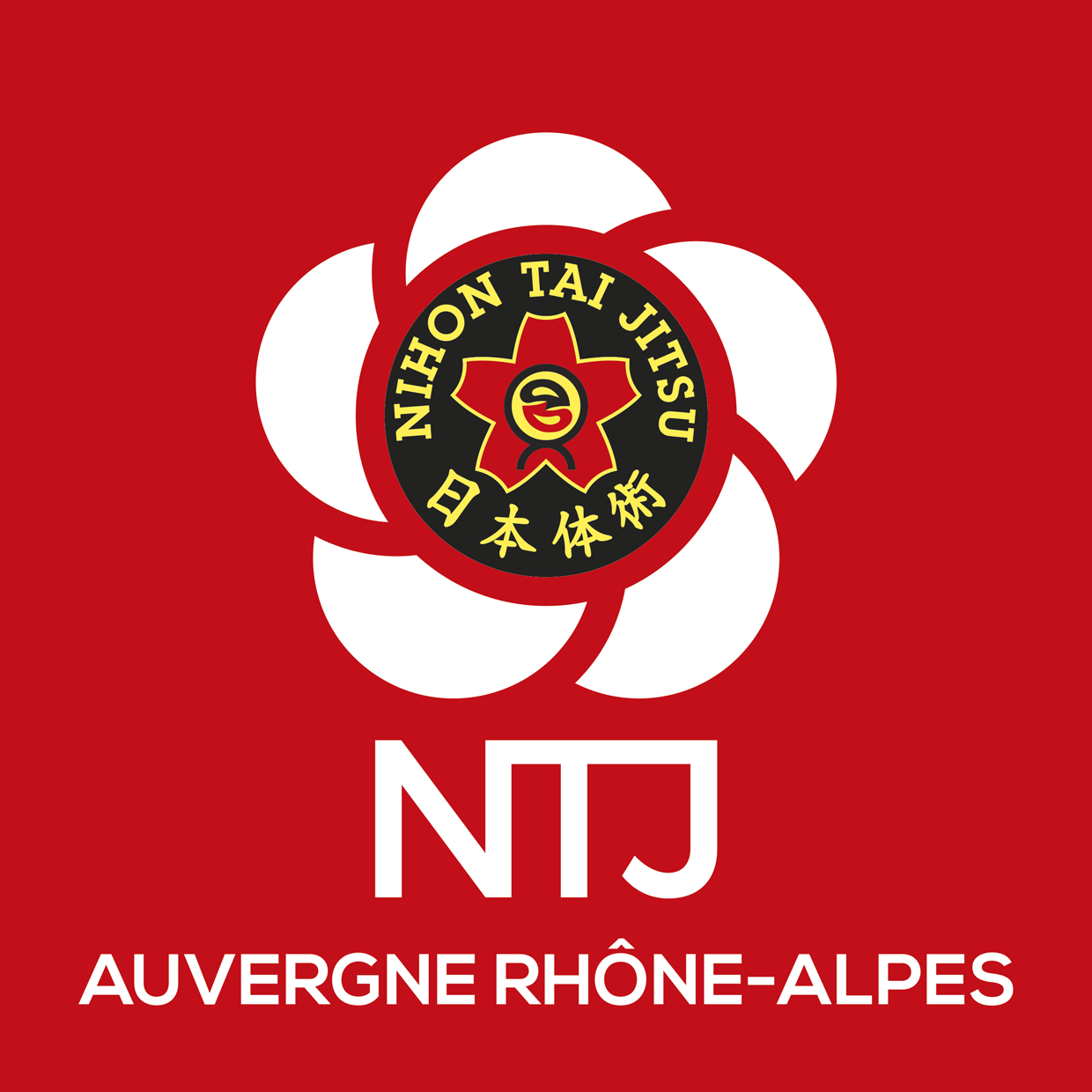 NTJ region AUVERGNE RHONE ALPES logo rvb
