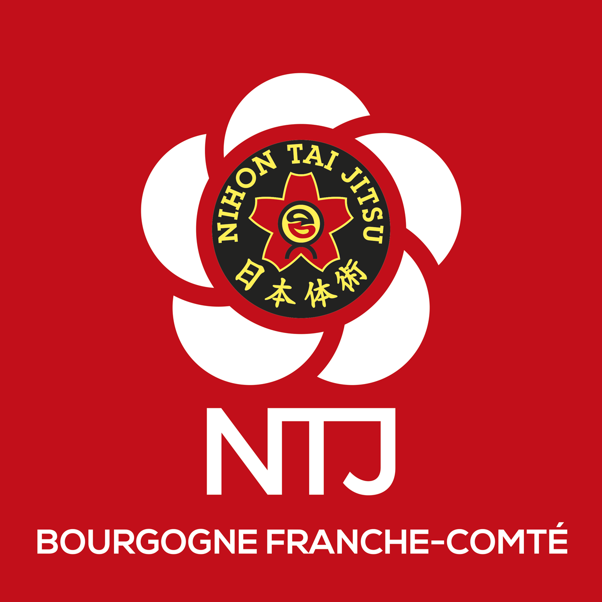 NTJ region BOURGOGNE logo rvb