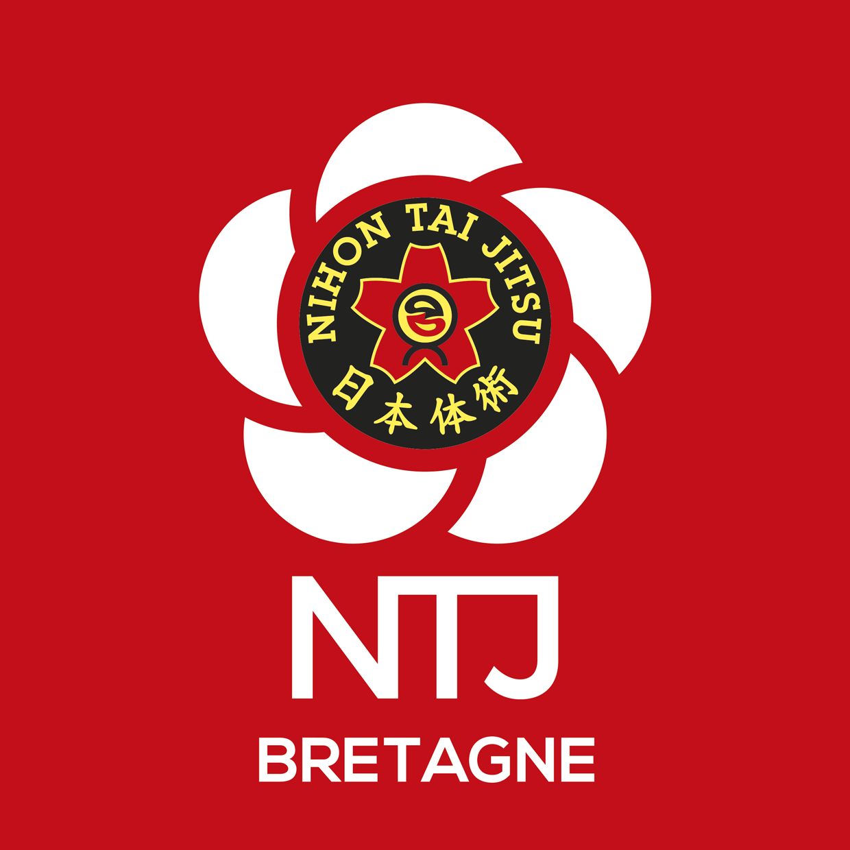 NTJ region BRETAGNE logo rvb