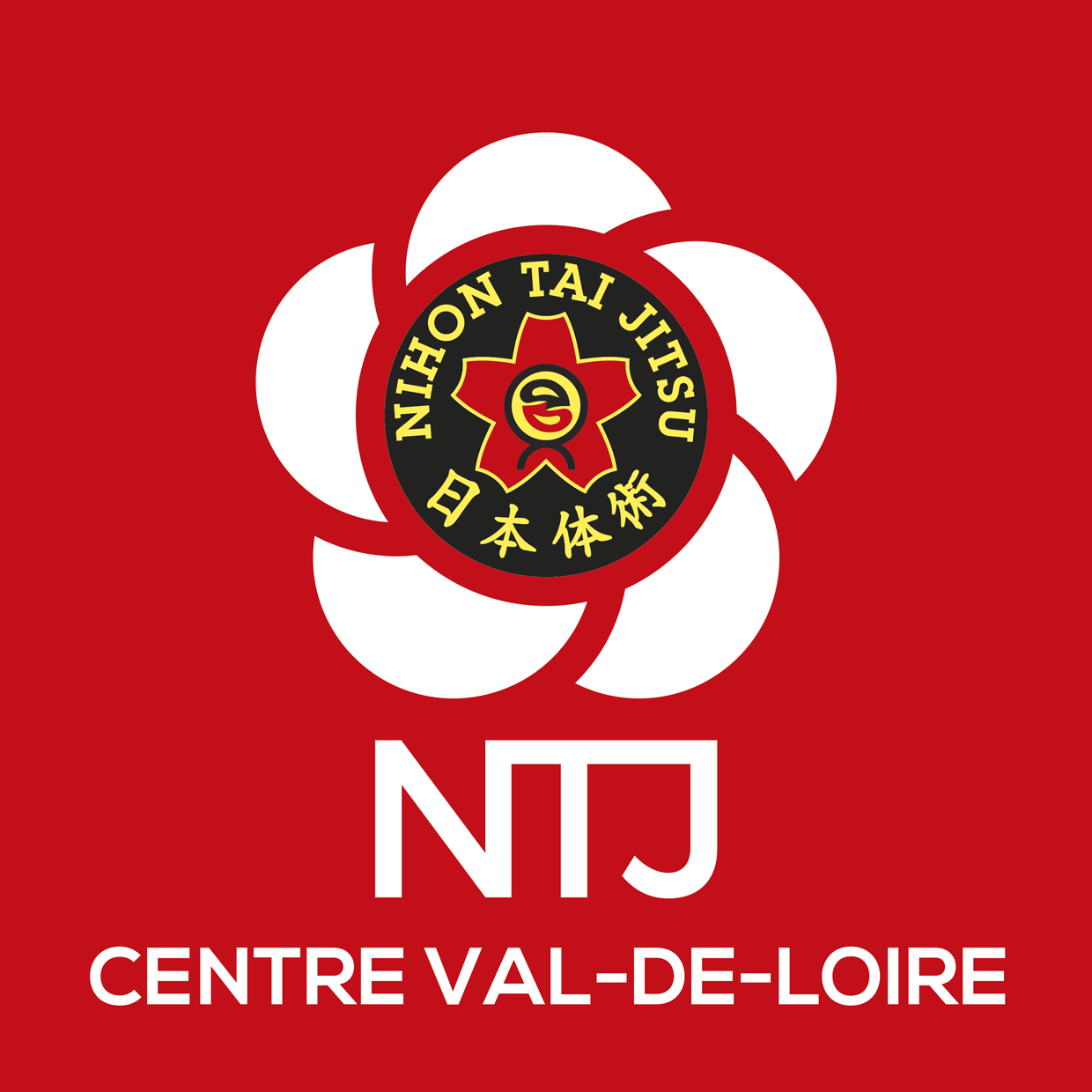 NTJ region CENTRE VAL DE LOIRE logo rvb