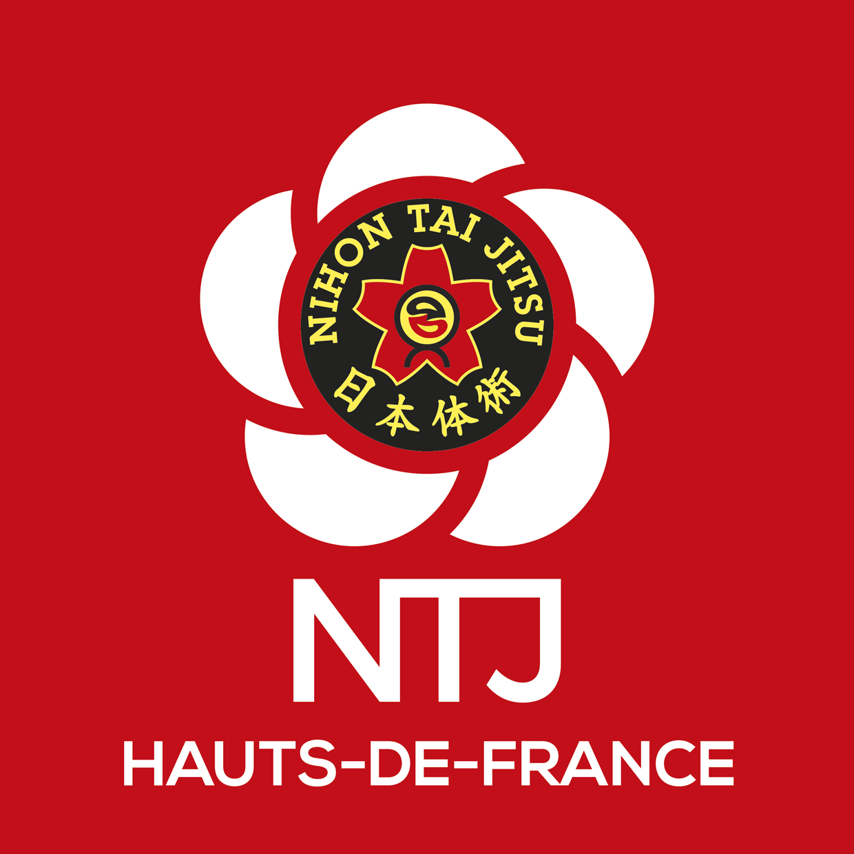 NTJ region HAUTS DE FRANCE logo rvb