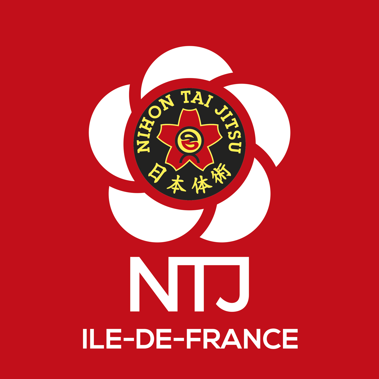NTJ region ILE DE FRANCE logo rvb