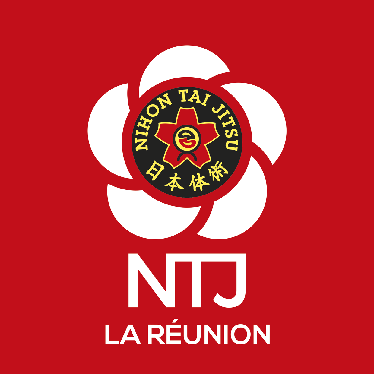 NTJ region LA REUNION logo rvb