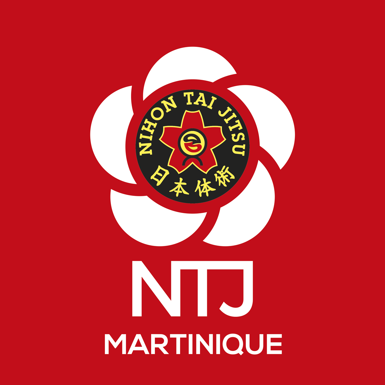 NTJ region MARTINIQUE logo rvb