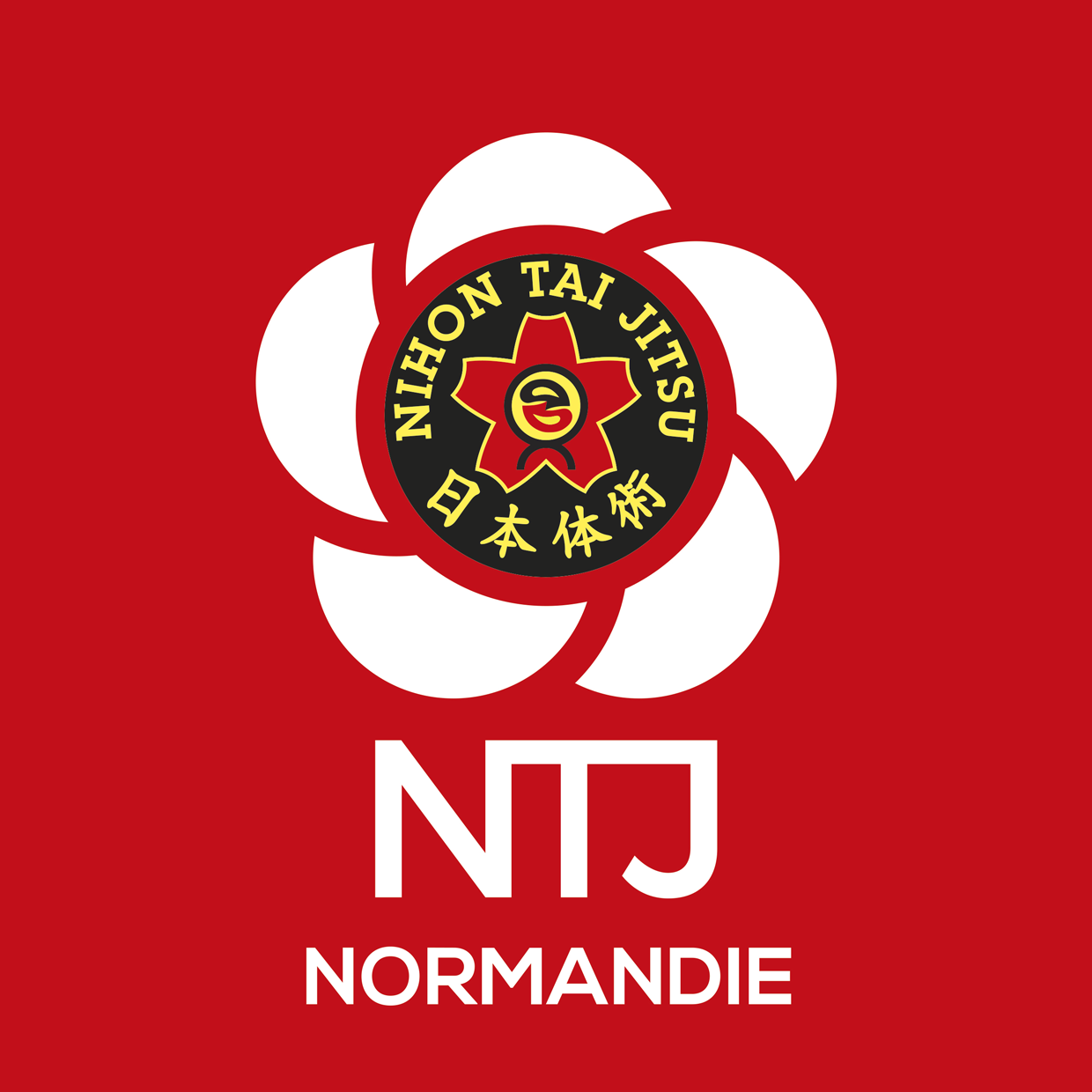 NTJ region NORMANDIE logo rvb