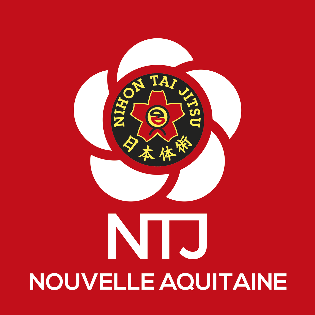 NTJ region NOUVELLE AQUITAINE logo rvb