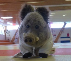 Ecole Essonnienne de Nihon Tai Jitsu
